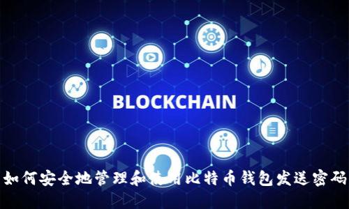 如何安全地管理和使用比特币钱包发送密码