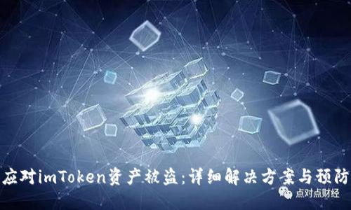 如何应对imToken资产被盗:详细解决方案与预防措施