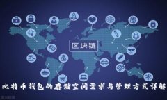 比特币钱包的存储空间需