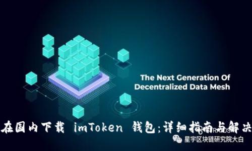 如何在国内下载 imToken 钱包:详细指南与解决方案