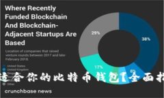 如何选择适合你的比特币