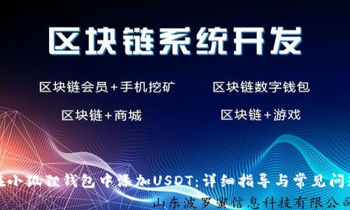 如何在小狐狸钱包中添加USDT:详细指导与常见问题解答