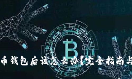 丢失比特币钱包后该怎么办?完全指南与解决方案