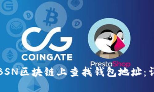 如何在BSN区块链上查找钱包地址:详细指南