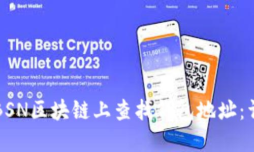 如何在BSN区块链上查找钱包地址:详细指南