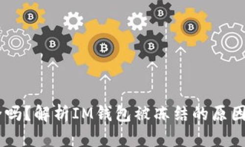 IM钱包安全吗?解析IM钱包被冻结的原因及解决方法