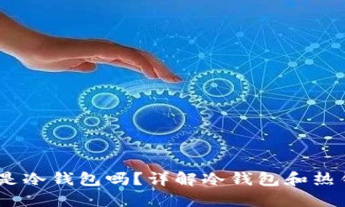 USDT充币地址可以是冷钱包吗?详解冷钱包和热钱包的区别及其应用