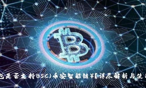 IM钱包是否支持BSC(币安智能链)?详尽解析与使用指南