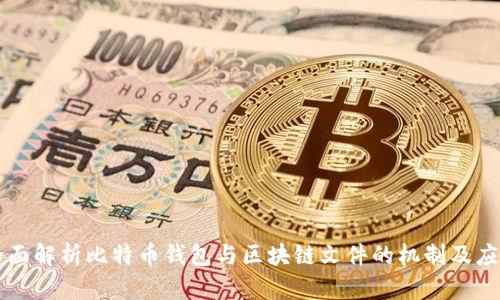 全面解析比特币钱包与区块链文件的机制及应用