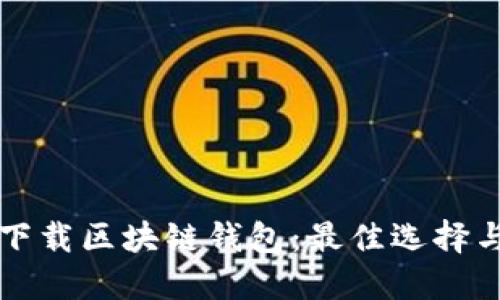 如何安全下载区块链钱包:最佳选择与平台推荐