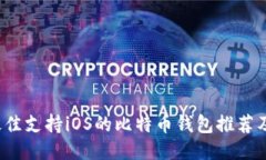 2023年最佳支持iOS的比特币