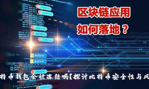 比特币钱包会被冻结吗?探讨比特币安全性与风险