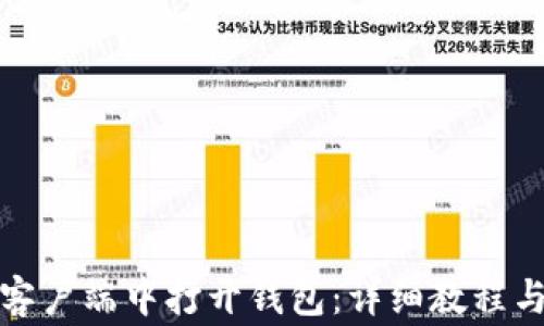 如何在比特币客户端中打开钱包:详细教程与常见问题解答