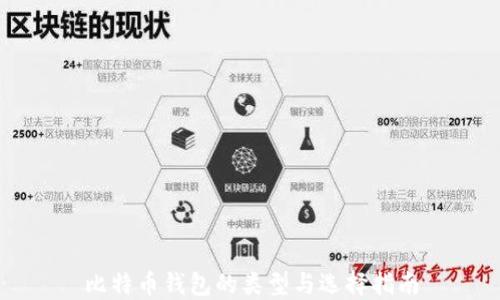 比特币钱包的类型与选择指南