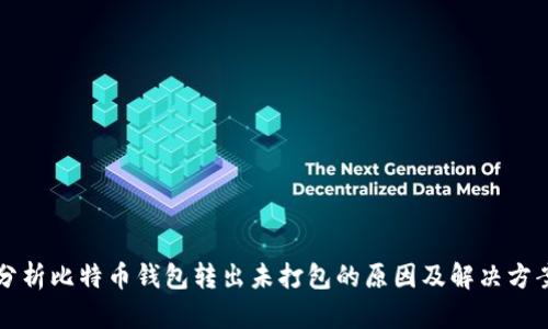 分析比特币钱包转出未打包的原因及解决方案