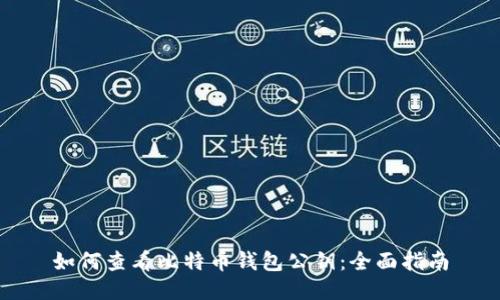 如何查看比特币钱包公钥:全面指南