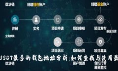 : 存量USDT最多的钱包地址
