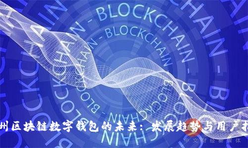 杭州区块链数字钱包的未来: 发展趋势与用户指南
