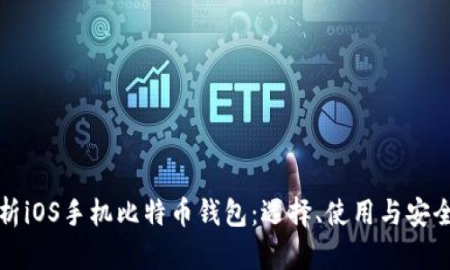 全面解析iOS手机比特币钱包:选择、使用与安全性指南