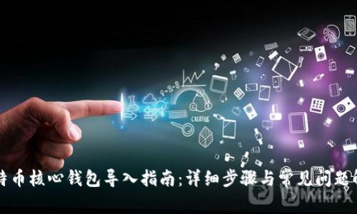 比特币核心钱包导入指南:详细步骤与常见问题解答