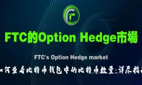 如何查看比特币钱包中的比特币数量：详尽指南