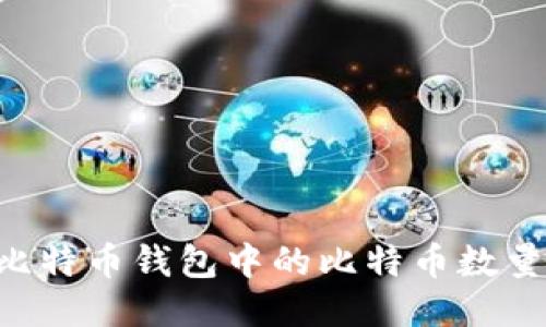 如何查看比特币钱包中的比特币数量：详尽指南