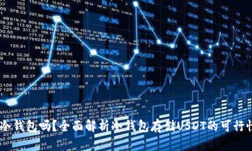 USDT能存冷钱包吗?全面解析冷钱包存储USDT的可行性与安全性