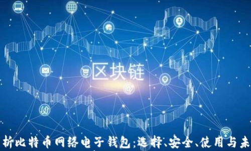 全面解析比特币网络电子钱包:选择、安全、使用与未来发展