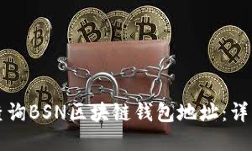 如何查询BSN区块链钱包地址:详细指南
