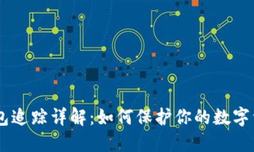 USDT钱包追踪详解：如何保护你的数字资产安全