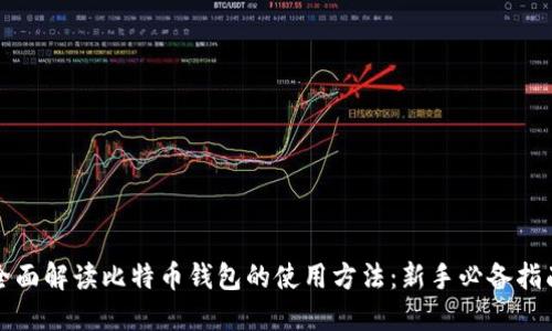 全面解读比特币钱包的使用方法:新手必备指南