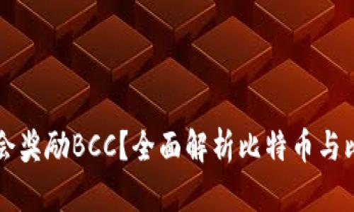 比特币钱包是否会奖励BCC?全面解析比特币与比特币现金的关系