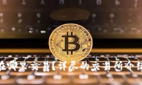 IMU币在哪里交易?详尽的交易所介绍与指南