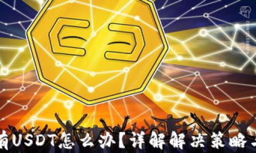 
冷钱包没有USDT怎么办？详解解决策略与操作指南