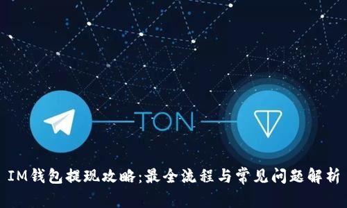 IM钱包提现攻略:最全流程与常见问题解析