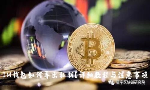 IM钱包如何导出私钥?详细教程与注意事项