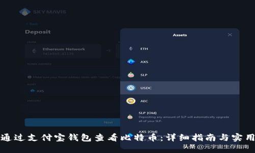 如何通过支付宝钱包查看比特币:详细指南与实用技巧