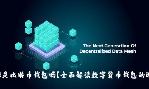 BTR是比特币钱包吗?全面解读数字货币钱包的选择