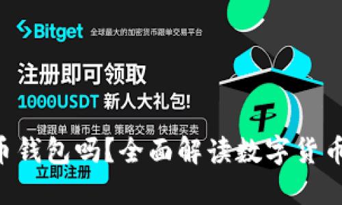 BTR是比特币钱包吗?全面解读数字货币钱包的选择