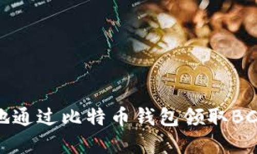 如何安全高效地通过比特币钱包领取BCC(比特币现金)