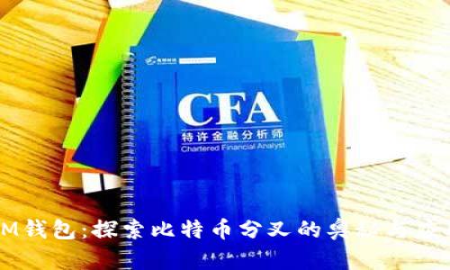IM钱包：探索比特币分叉的奥秘与应用