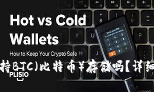 ImToken钱包支持BTC(比特币)存储吗?详细解析与使用指南