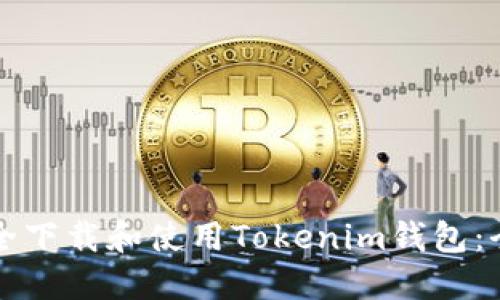 如何安全下载和使用Tokenim钱包：全面指南