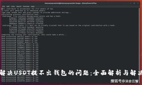 如何解决USDT提不出钱包的问题：全面解析与解决方案