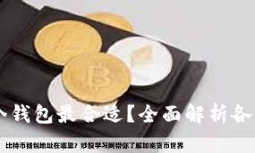 IM钱包使用哪个钱包最合适？全面解析各大主流钱包选择