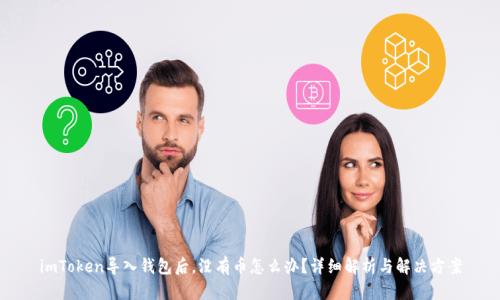 imToken导入钱包后，没有币怎么办？详细解析与解决方案