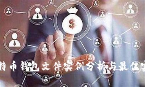 比特币钱包文件实例分析与最佳实践