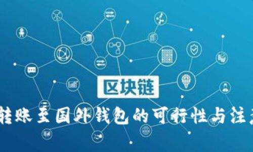 USDT转账至国外钱包的可行性与注意事项