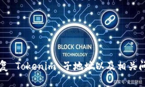 如何恢复 Tokenim 子地址以及相关问题解析