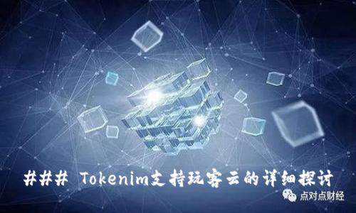 ### Tokenim支持玩客云的详细探讨
